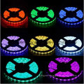 14.4W Ce and Rhos 60SMD3014 Purple LED Strip